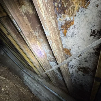 03594B2B-0E1A-4E64-AA8F-16E8DE31A9EE