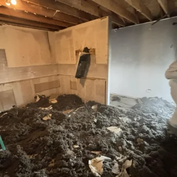 03E97741-19F3-4BFA-A463-15970DC4F7C7