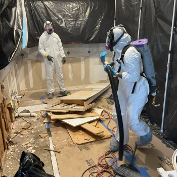 08D0C1C8-FAEB-4302-B7C4-C6F877957D36