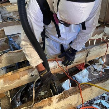 257412499_270762588432360_2790960907898330433_n