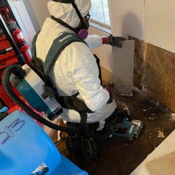 262265994_516457219316714_2024056944700366281_n