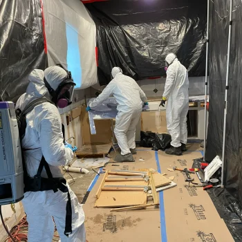 30B6718C-46A3-4277-AA11-729E94AD0970