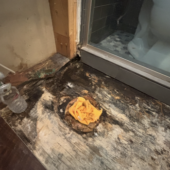 52FB7727-97F8-45B0-A7FA-49DB89B750F9