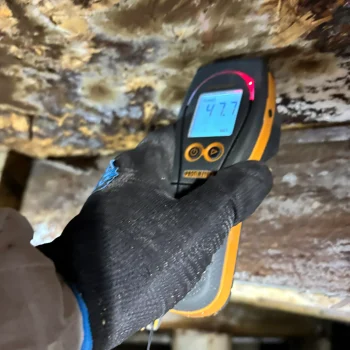 9D069AD8-F449-40F4-939D-2D9FF59A9E67