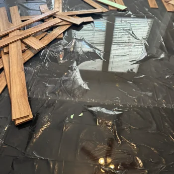 ECD729EC-6400-4A20-B050-A89433EBF4F8